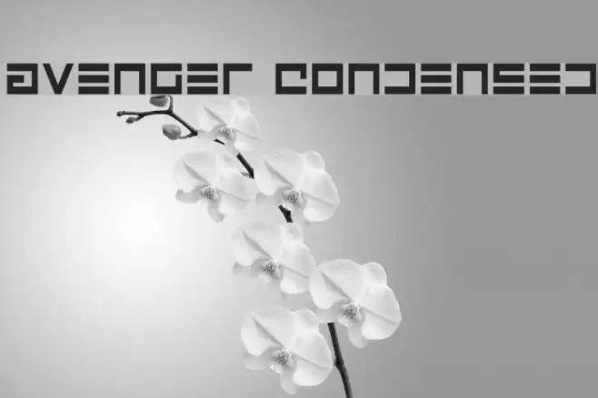 Avenger Condensed Example 1
