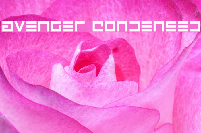 Avenger Condensed Font examples