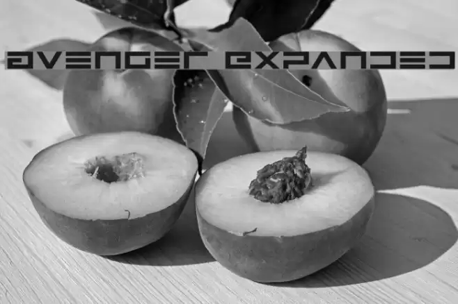 Avenger Expanded Font examples