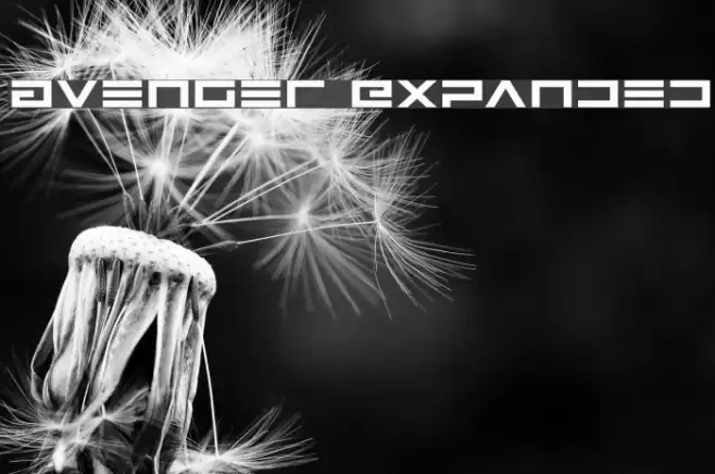 Avenger Expanded Font examples