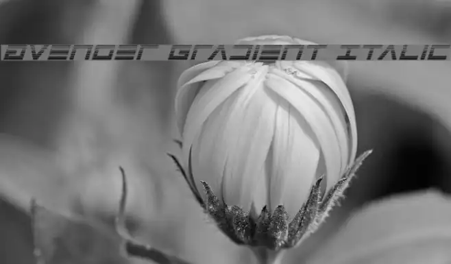 Avenger Gradient Italic Example 1