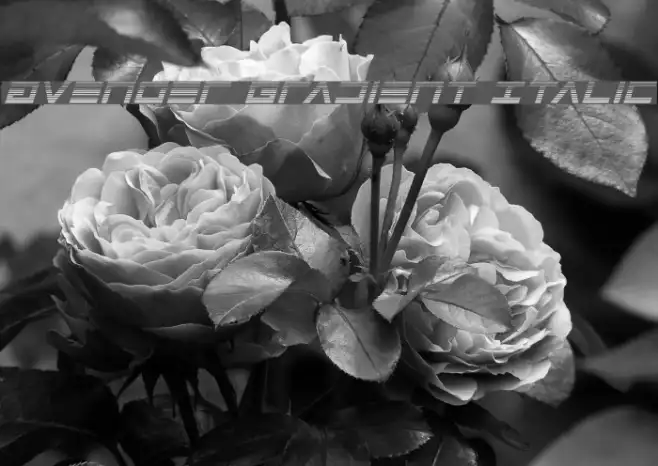 Avenger Gradient Italic Example 2