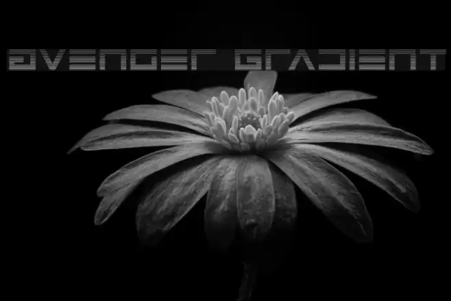 Avenger Gradient Font examples
