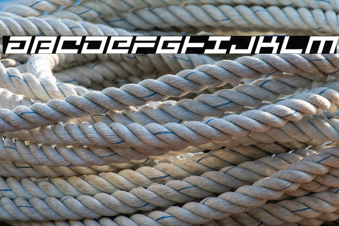 Avenger Italic Example 1