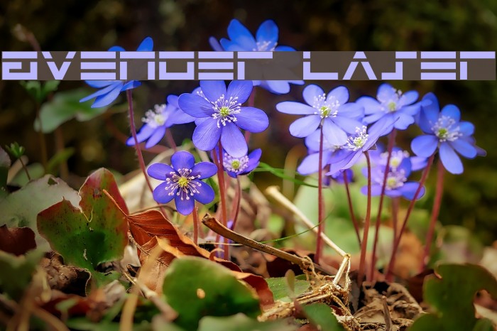 Avenger Laser Font examples
