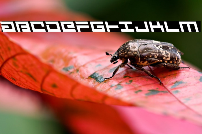 Avenger Leftalic Example 3