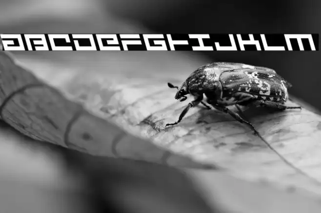 Avenger Leftalic Example 3