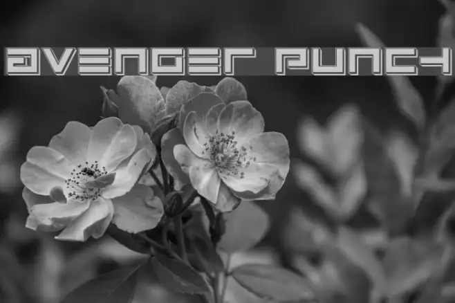 Avenger Punch Example 1