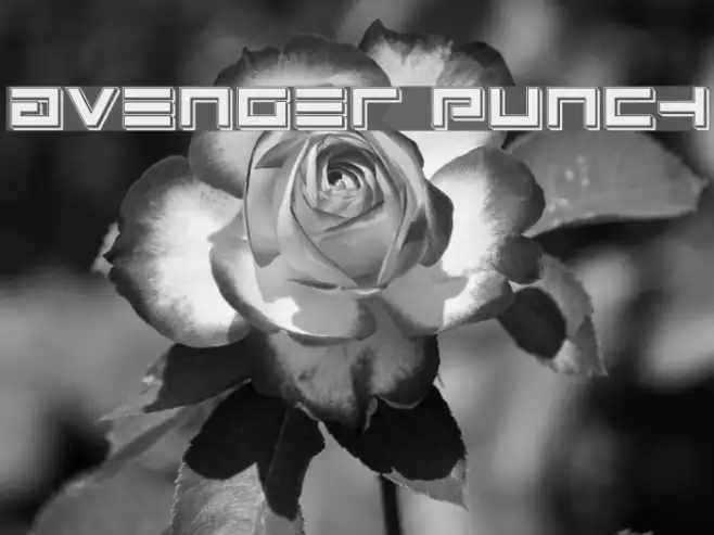 Avenger Punch Example 3