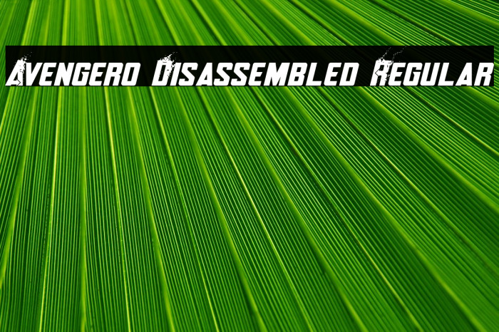 Avengero Disassembled Regular Fonte examples