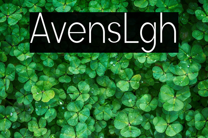 Avenis Light Example 2