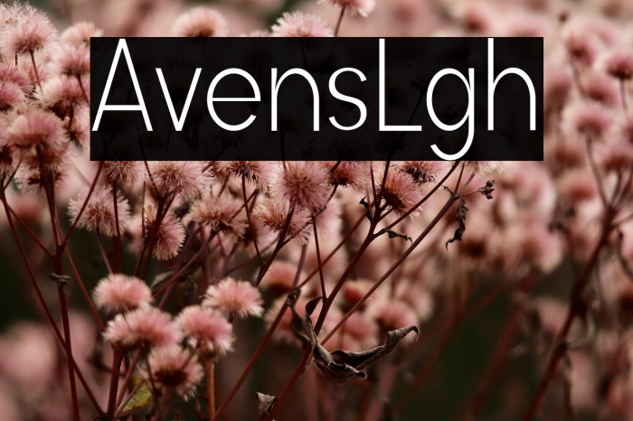 Avenis Light Example 3