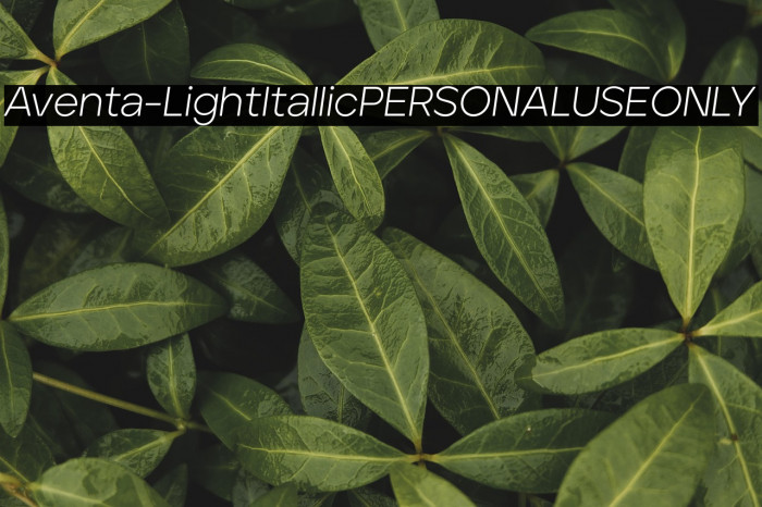 Aventa-LightItallicPERSONALUSEONLY Example 3
