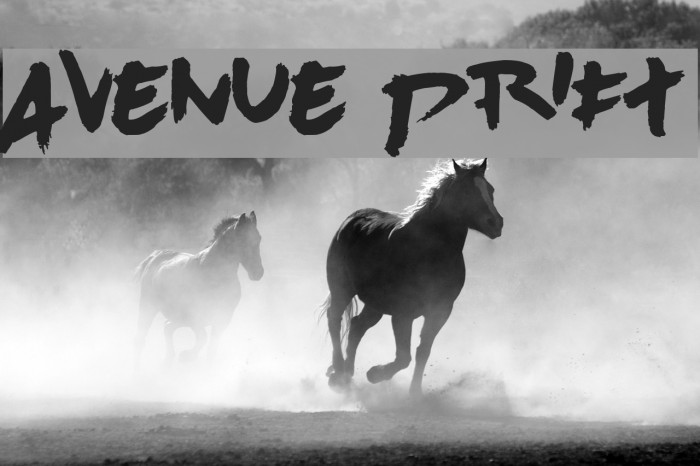 Avenue Drift Font examples