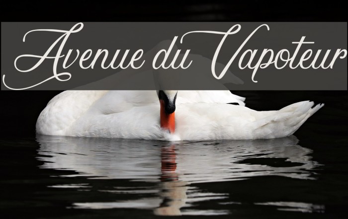 Avenue du Vapoteur Шрифта examples