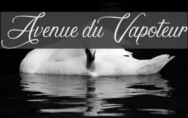 Avenue du Vapoteur Шрифта examples