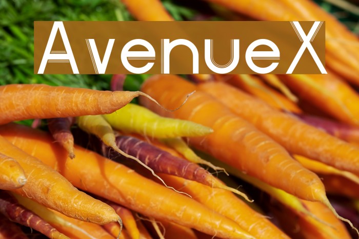 AvenueX Font examples