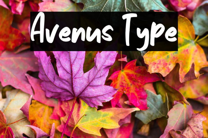 Avenus Type Example 2