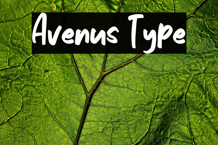 Avenus Type Example 3