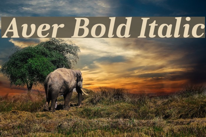 Aver Bold Italic Font examples