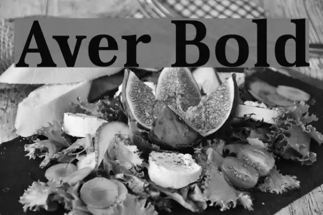 Aver Bold Font examples