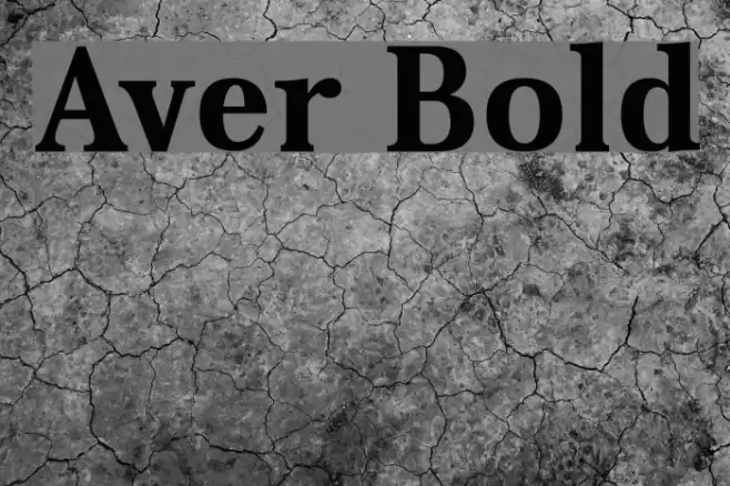 Aver Bold Font examples