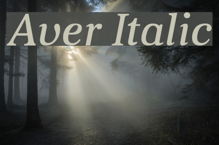 Aver Italic Font examples
