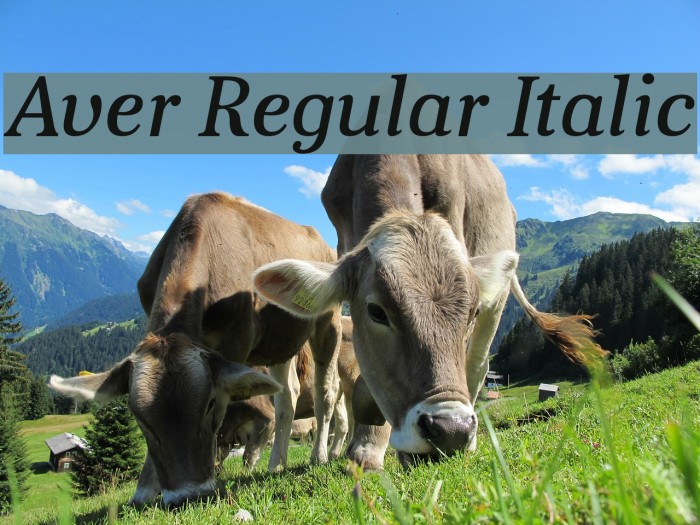 Aver Regular Italic Font examples