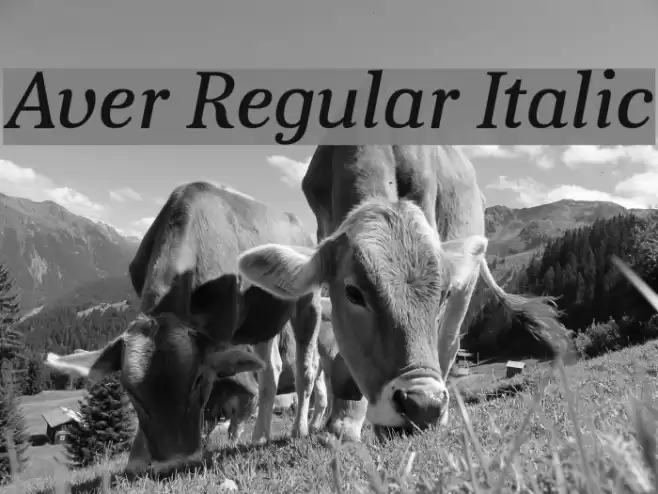 Aver Regular Italic Font examples