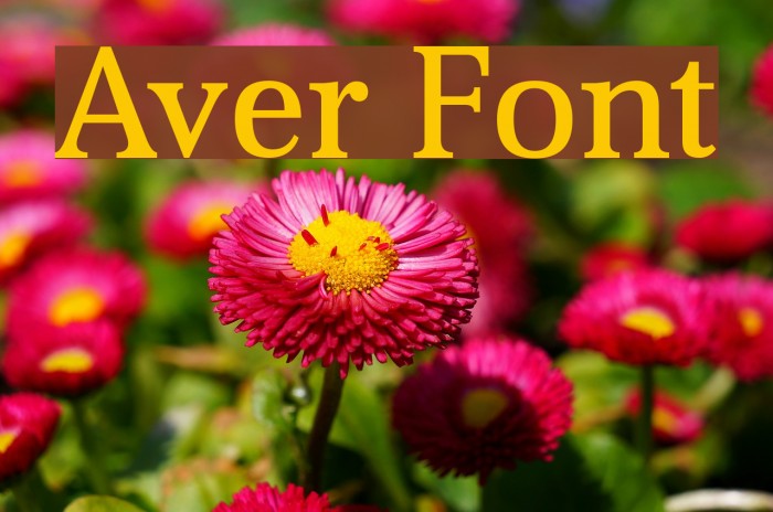 Aver Font examples
