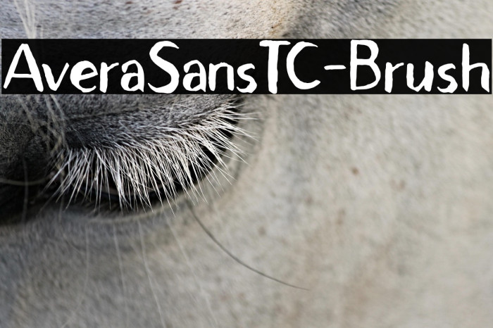 AveraSansTC-Brush Example 3