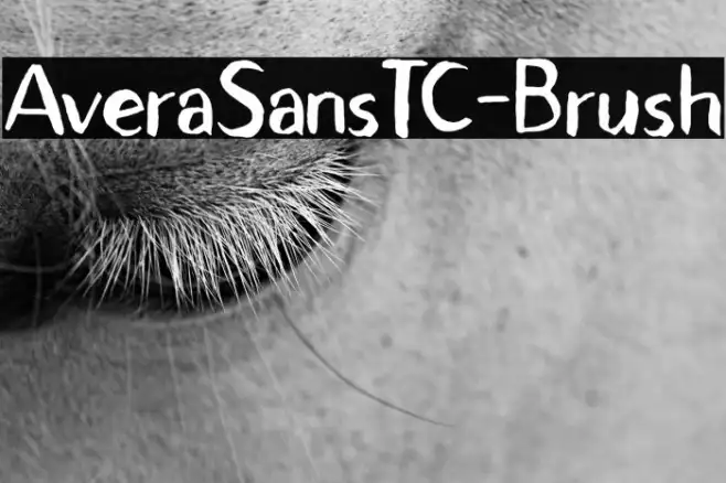AveraSansTC-Brush Example 3
