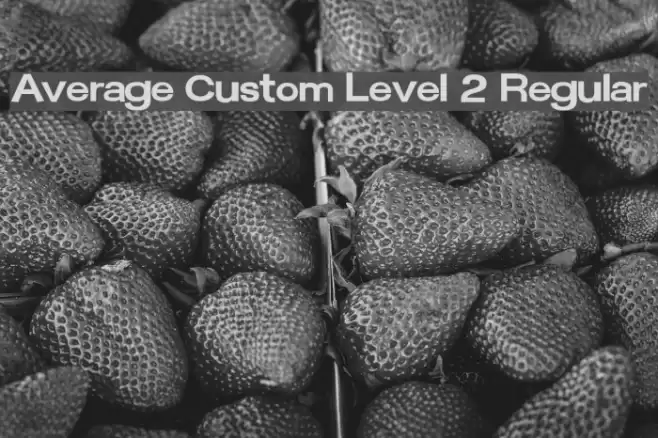 Average Custom Level 2 Regular Шрифта examples