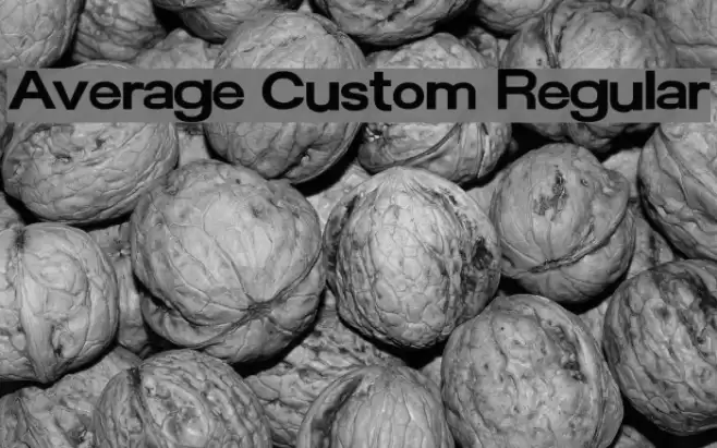 Average Custom Regular Font examples