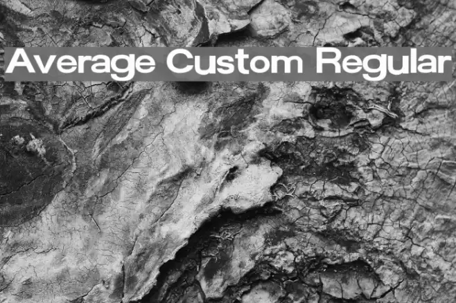 Average Custom Regular Font examples