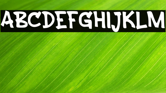 Average Donation $10 Example 3