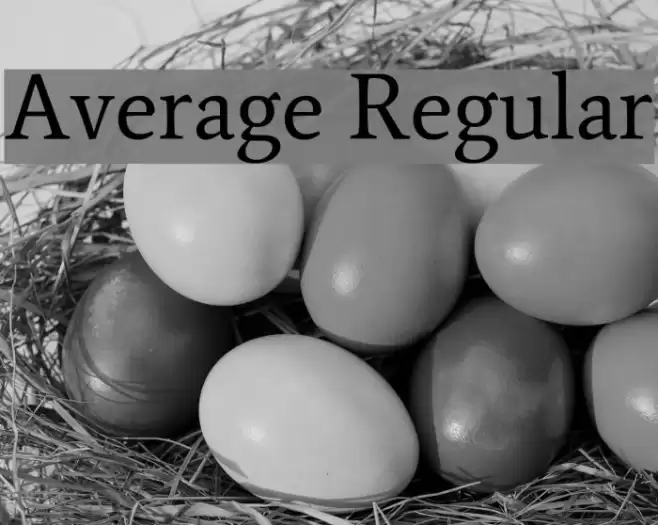 Average Regular Font examples