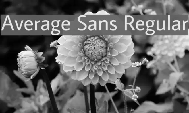Average Sans Regular Font examples