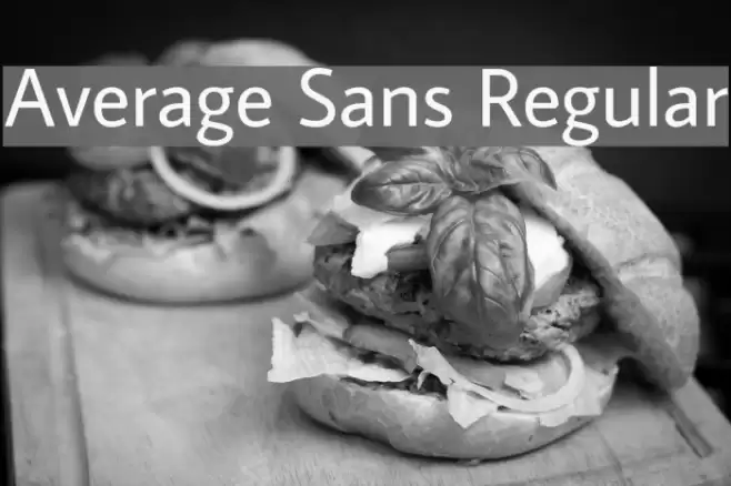 Average Sans Regular Font examples