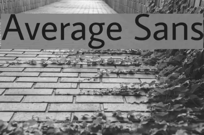 Average Sans Font examples