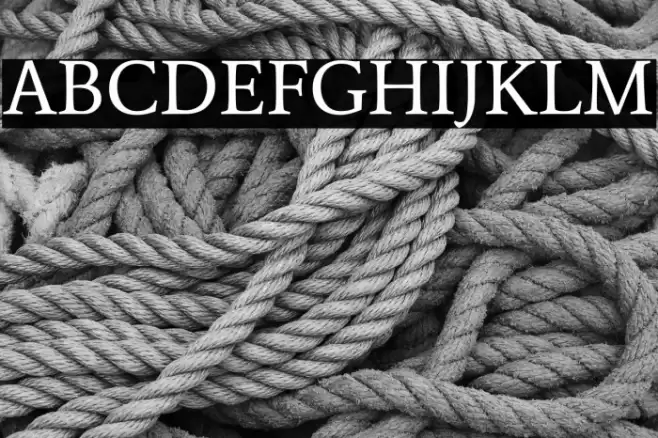 Average フォント examples