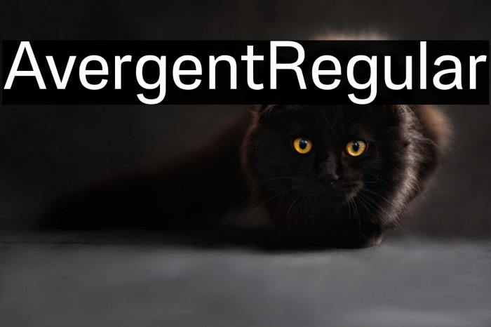 Avergent-Regular Example 2