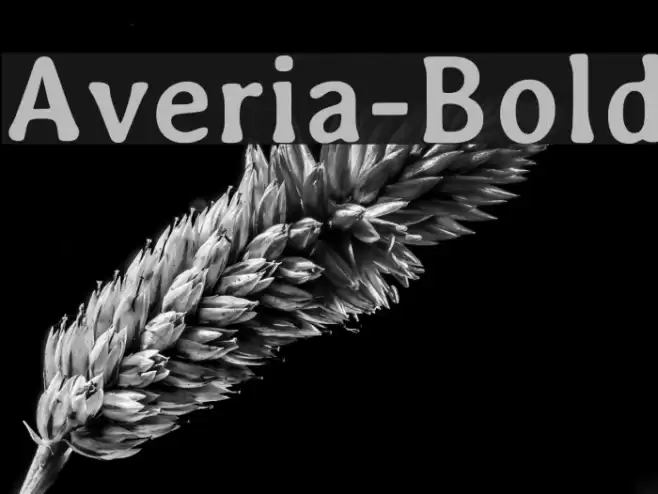 Averia-Bold Font examples