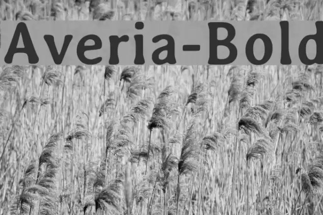 Averia-Bold Font examples