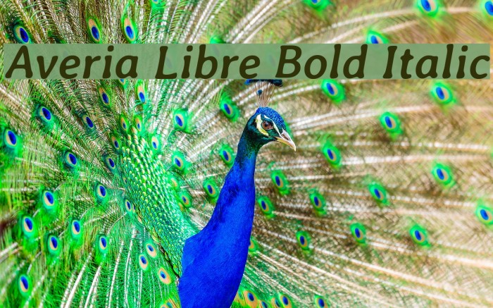 Averia Libre Bold Italic Font examples