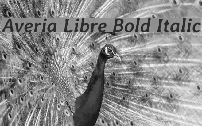 Averia Libre Bold Italic Polices examples