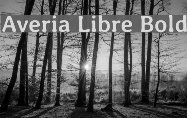 Averia Libre Bold Font examples