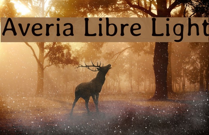 Averia Libre Light Font examples