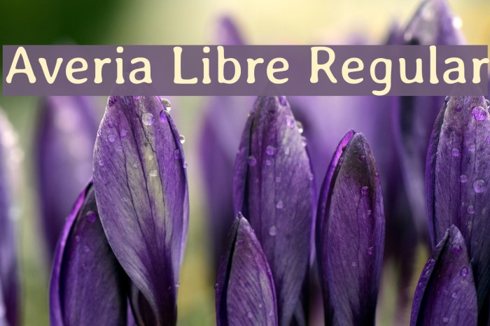 Averia Libre Regular Font examples