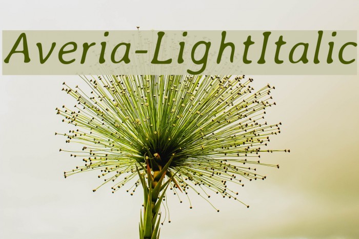 Averia-LightItalic Font examples